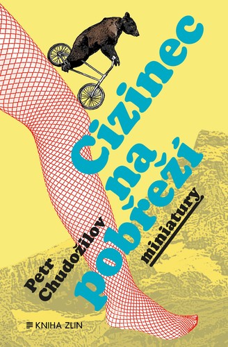 Obrázok Cizinec na pobřeží