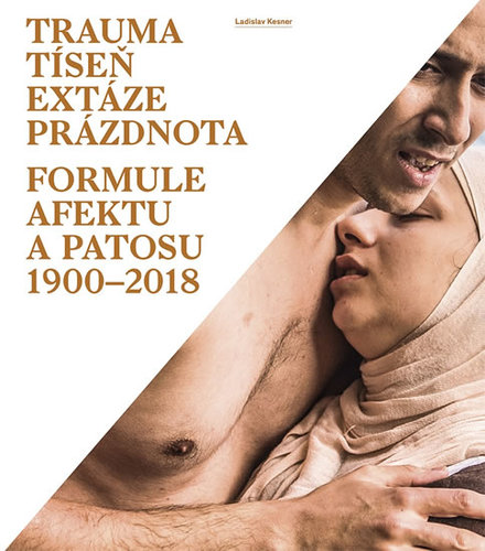 Obrázok Trauma, tíseň, extáze, prázdnota - Formule afektu a patosu 1900-2018