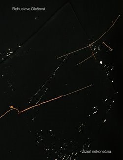 Obrázok Žízeň nekonečna