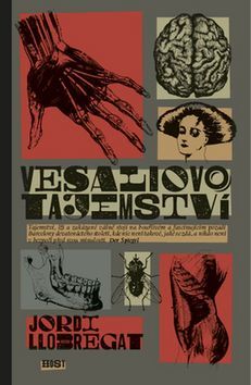 Obrázok Vesaliovo tajemství