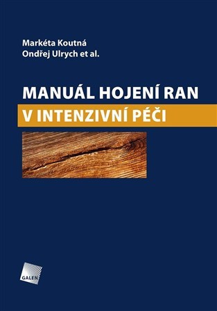Obrázok Manuál hojení ran v intenzivní péči