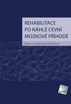 Obrázok Rehabilitace po náhlé cévní mozkové příh