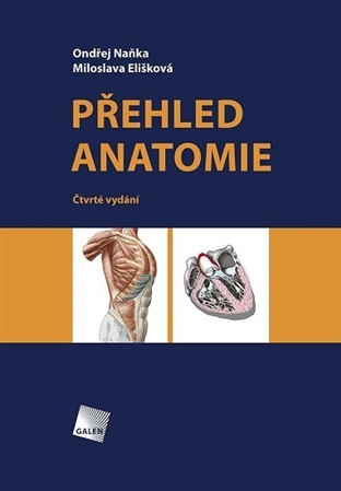 Obrázok Přehled anatomie