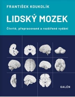 Obrázok Lidský mozek