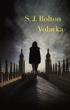 Obrázok Volavka