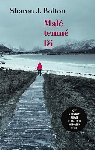 Obrázok Malé temné lži