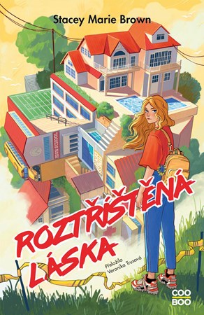 Obrázok Roztříštěná láska