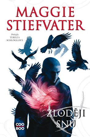 Obrázok Zloději snů