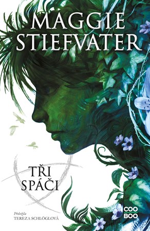 Obrázok Tři spáči