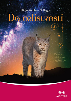 Obrázok Do celistvosti - Cesta hlubinné imaginace