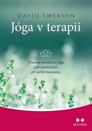Obrázok Jóga v terapii - Trauma-sensitivní jóga
