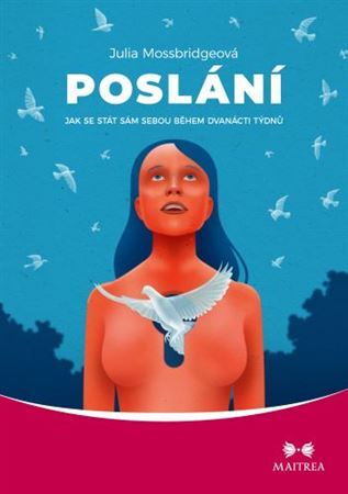 Obrázok Poslání - Jak se stát sám sebou během dvanácti týdnů