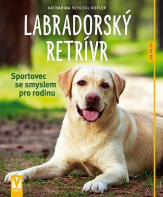 Obrazok Labradorský retrívr - Sportovec se smyslem pro rodinu