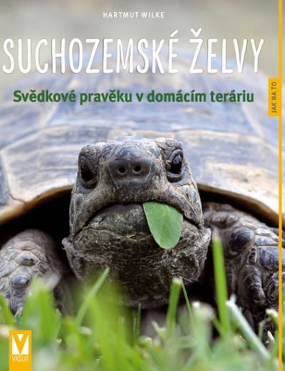 Obrazok Suchozemské želvy - Svědkové pravěku v domácím teráriu