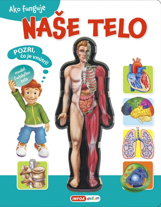 Obrázok Ako funguje naše telo