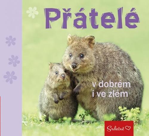 Obrázok Přátelé v dobrém i ve zlém