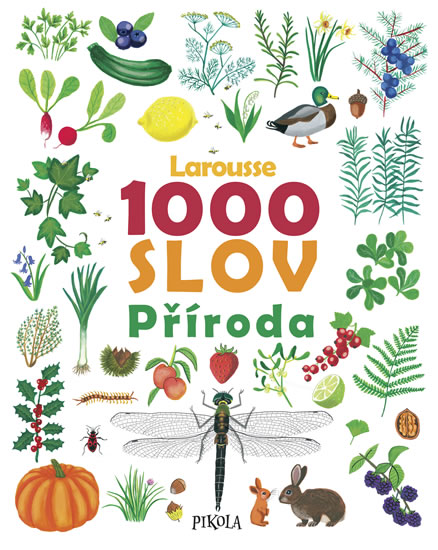 Obrázok 1000 slov – Příroda
