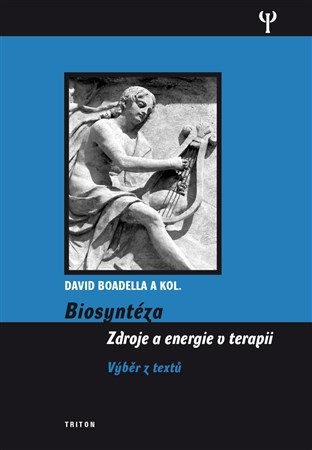 Obrázok Biosyntéza - Zdroje a energie v terapii