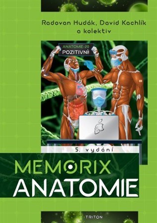 Obrázok Memorix anatomie