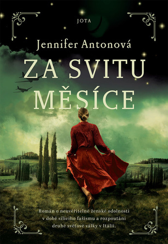 Obrázok Za svitu měsíce