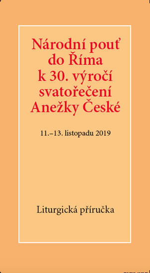 Obrázok Národní pouť do Říma k 30. výročí svatoř