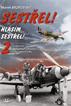 Obrázok Sestřel! Hlásím sestřel! 2