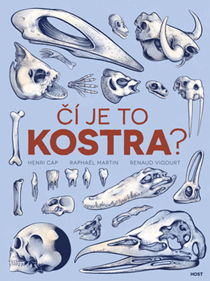 Obrázok Čí je to kostra?