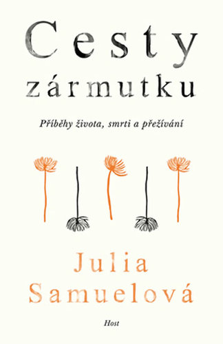 Obrázok Cesty zármutku