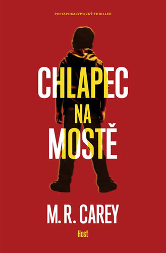 Obrázok Chlapec na mostě