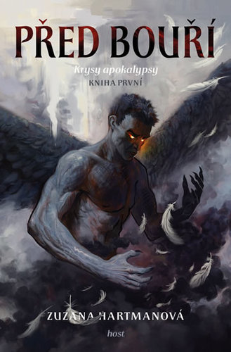 Obrázok Před bouří