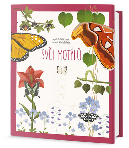 Obrázok Svět motýlů