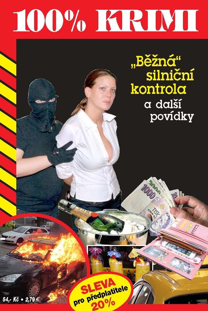 Obrázok Běžná silniční kontrola a další povídky