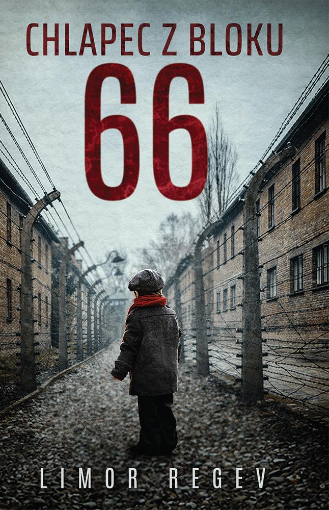 Obrázok Chlapec z bloku 66