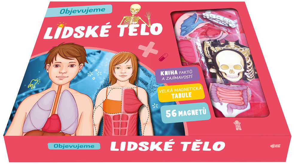 Obrázok Objevujeme: Lidské tělo