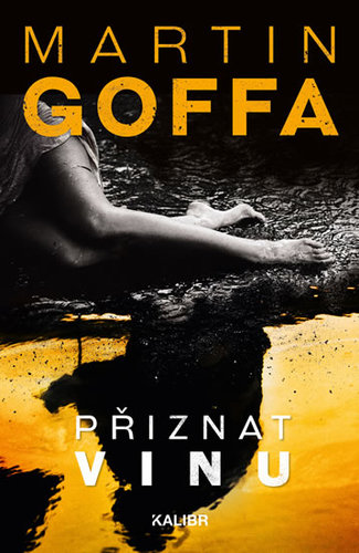 Obrázok Přiznat vinu