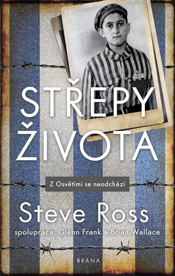 Obrazok Střepy života