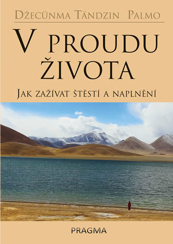 Obrázok V proudu života - Jak zažívat štěstí a n