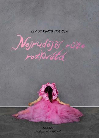 Obrázok Nejrudější růže rozkvétá