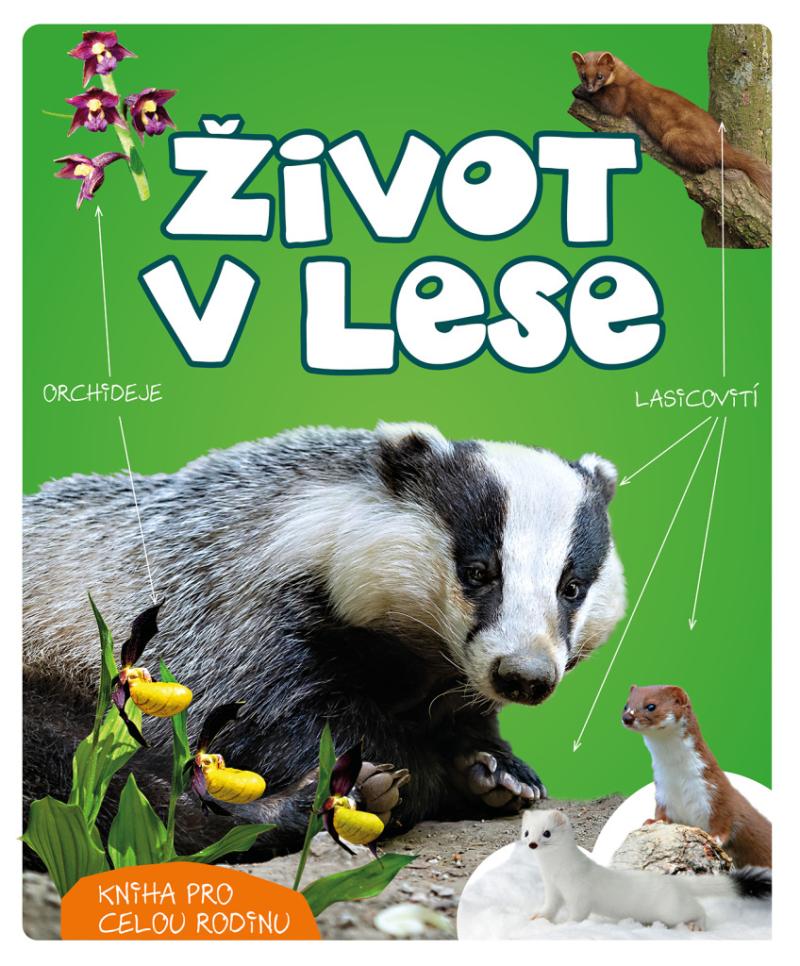 Obrázok Život v lese
