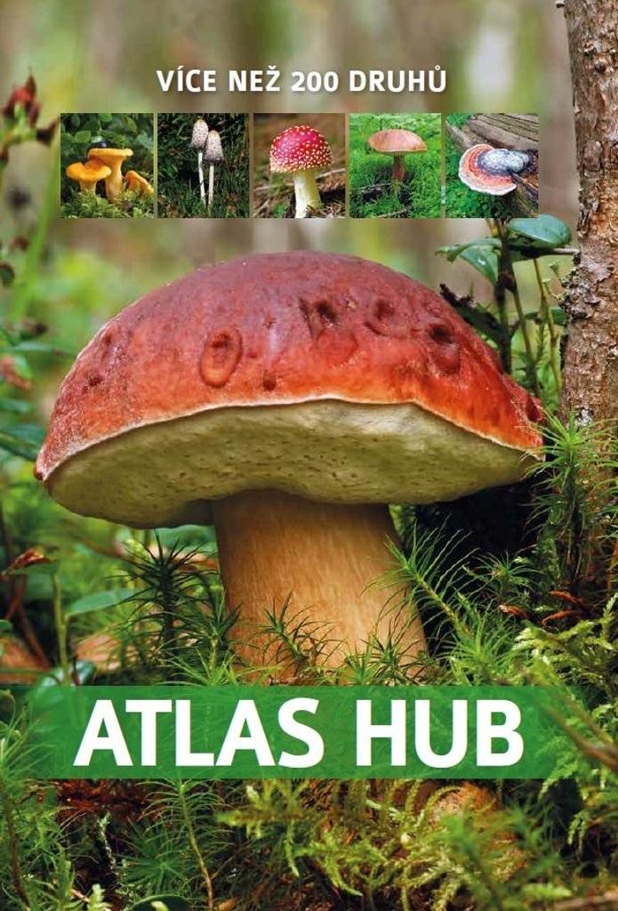 Obrázok Atlas hub