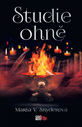 Obrázok Studie ohně
