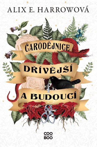 Obrázok Čarodějnice dřívější a budoucí