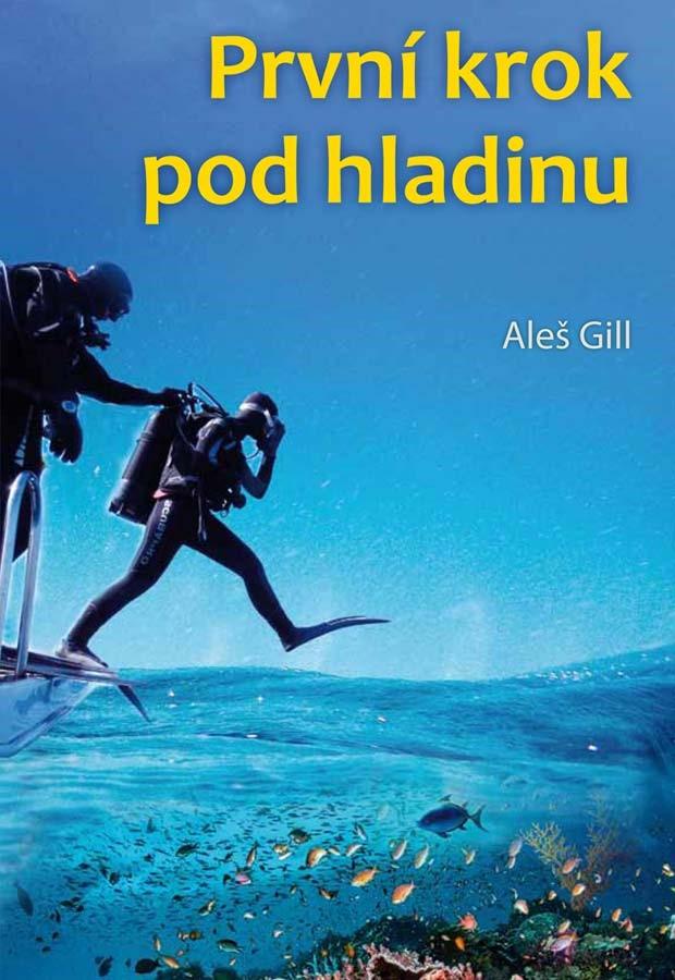 Obrázok První krok pod hladinu
