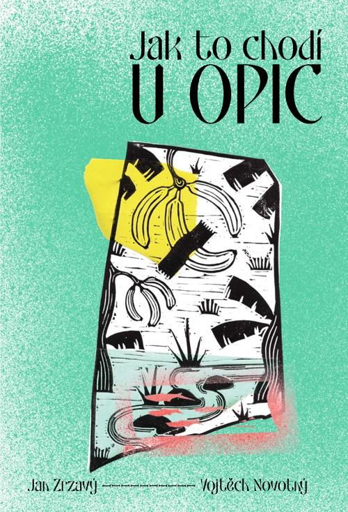 Obrázok Jak to chodí u opic