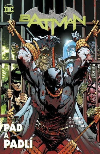 Obrázok Batman - Pád a padlí