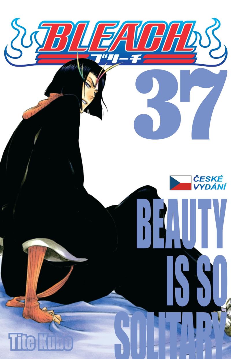 Obrázok Bleach 37: Beauty Is So Solitary