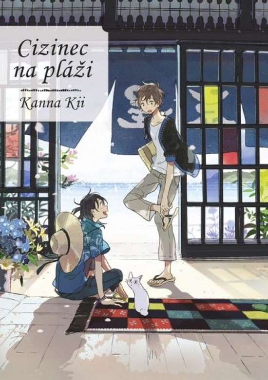 Obrázok Cizinec na pláži 1