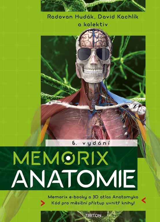 Obrázok Memorix anatomie