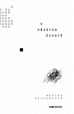 Obrázok V příštím životě