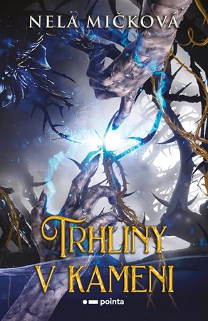 Obrázok Trhliny v kameni